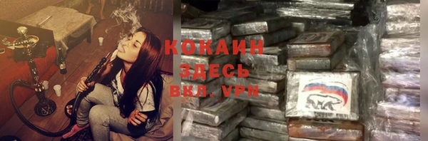 индика Касимов
