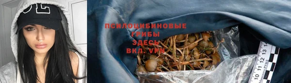 индика Касимов