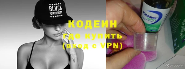 индика Касимов