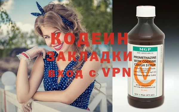 индика Касимов