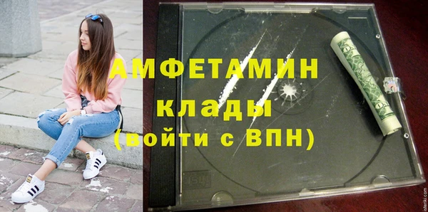 индика Касимов