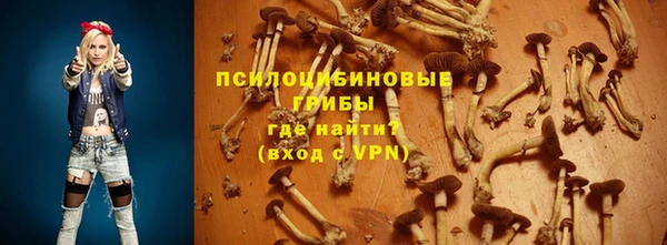 индика Касимов