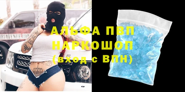 индика Касимов